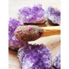 Palo Santo Smudge Pop - Salvia blanca