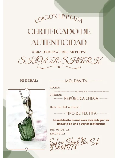 Collar de Moldavita de plata | Buena suerte - Espiritualidad
