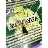 Collaret de Moldavita triple protecció de plata | Bona sort - Espiritualitat