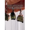 Collar Moldavita grande 3-4 cm | Suerte y espiritualidad