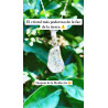 Collaret Llum Còsmica ✨ de Quars Herkimer de plata | Protecció i neteja