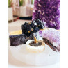 Extreme Protective Tree of Black Tourmaline, Pyrite and Selenite – The authentic shield of the home