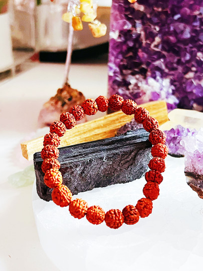 Pulsera 'Escudo de Shiva' de Rudraksha natural