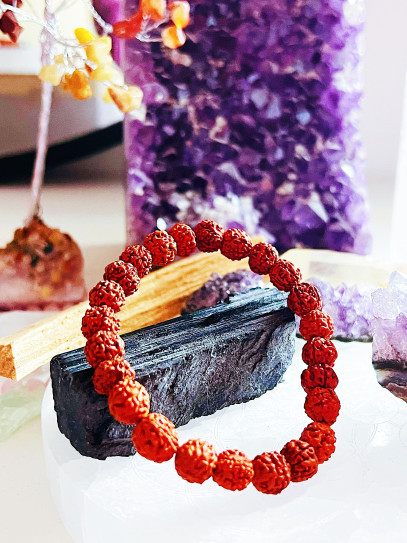 Pulsera 'Escudo de Shiva' de Rudraksha natural