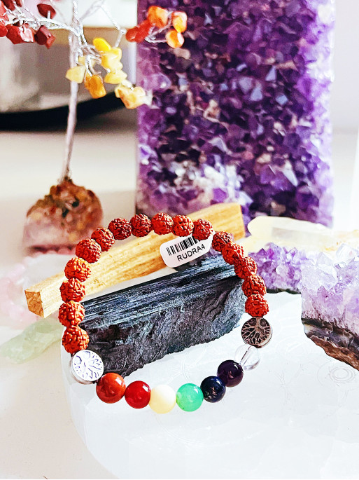 'Chakra Guardian Rudraksha' bracelet made of natural Rudraksha and the 7 chakras