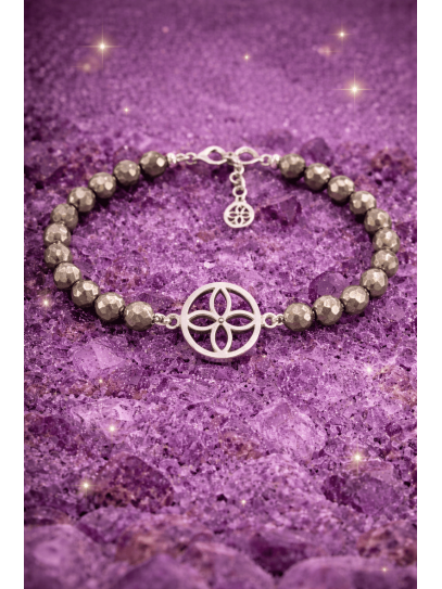 Polsera imant dels diners del sigil de l'abundància de Pirita i plata