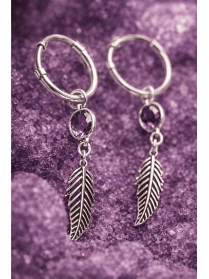 Arracades Cèrcols Ales d'Ametista ✨ Atrau l'energia positiva