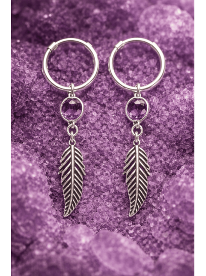 Arracades Cèrcols Ales d'Ametista ✨ Atrau l'energia positiva