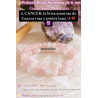 🔮 Pulsera Signo del Zodiaco Cáncer Brisa Amorosa 6mm | Cuarzo rosa y Piedra luna atrae el amor