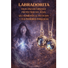 'Gotland' XL Labradorite Necklace - Mystical Protection