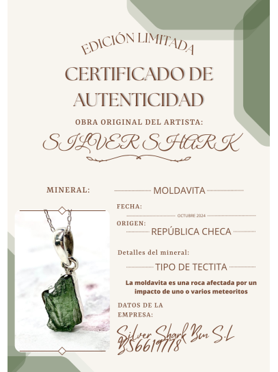 Moldavite necklace with triple COSMIC protection from Tetragrammaton and Caravaca