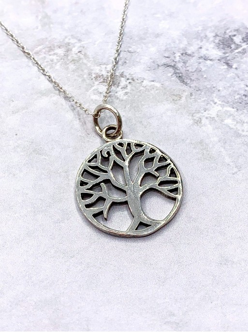 Silver 'Danae' necklace