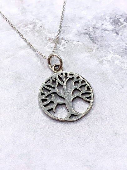 Silver 'Danae' necklace