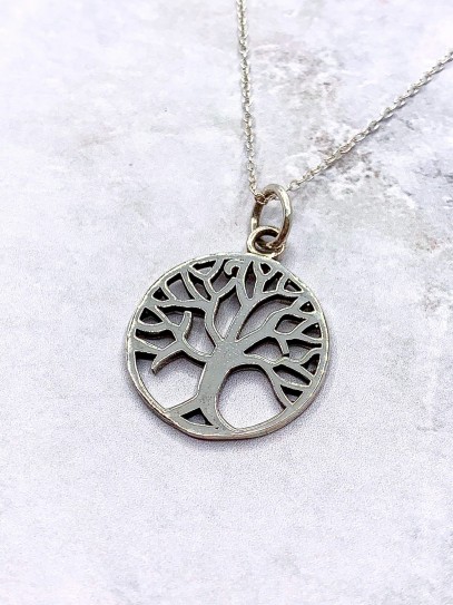 Silver 'Danae' necklace