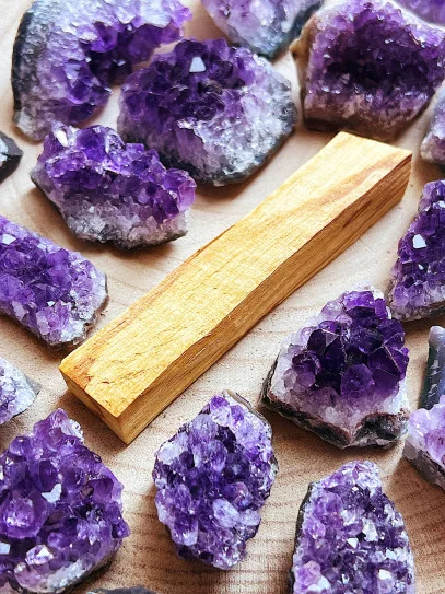 Rama de Palo Santo