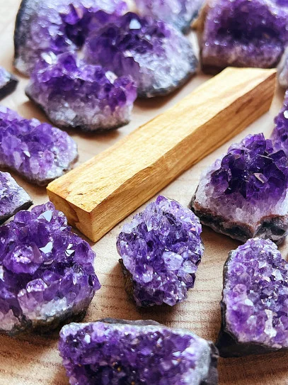Rama de Palo Santo