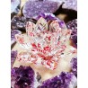Feng Shui Crystal Lotus Flower - Red