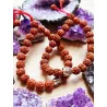 Pulsera 'Shiva' de Rudraksha natural