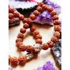 Pulsera 'Shiva' de Rudraksha natural