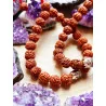 Pulsera 'Shiva' de Rudraksha natural