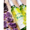 Colonia Ruda de Murray & Lanman