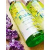Colonia Ruda de Murray & Lanman