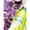 Colonia Ruda de Murray & Lanman