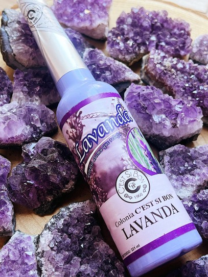 Lavender colony by Murray & Lanman