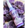 Lavender colony by Murray & Lanman