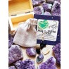 Kit 6 piedras de los horóscopos: Escorpio - Jaspe verde