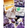 Kit 6 piedras de los horóscopos: Escorpio - Jaspe verde
