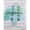 Amazonite 'Iniya' earrings
