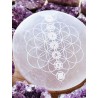 Selenite Plate with engraved the 7 Chakras