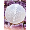 Selenite Plate with engraved the 7 Chakras